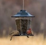 Bird Feeder Carriage Style 1.5lb #08622363