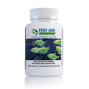 Fish Mox 250MG 100-Capusules #08644347