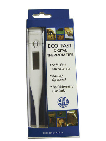 Eco-Fast Digital Thermometer #22700183