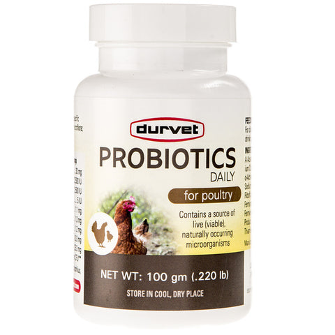 Probiotics Daily Poultry 100-GM #22700247