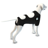 CALM PAWS CALMING RECOVERY VEST