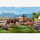 Breyer PONY POWER SET #62200