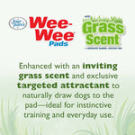 WEE-WEE PADS W/GRASS SCENT 100ct #436275