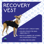 CALM PAWS CALMING RECOVERY VEST