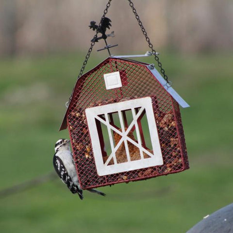 MESH BARN SEED & SUET BIRD FEEDER #008196