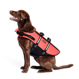 Zippypaws Adventure Dog Life Jacket #073091