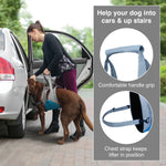 KURGO UP & ABOUT DOG LIFTER #037174