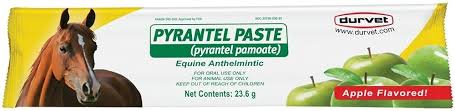 Pyrantel Durvet Paste Horse Wormer #07821102