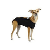 CALM PAWS CALMING RECOVERY VEST