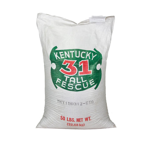 Kentucky 31 Fescue Grass Seed