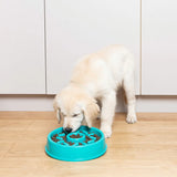 ZIPPYPAWS HAPPY BOWL SLOW FEEDER DONUT #073151