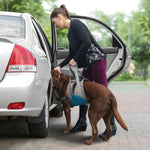 KURGO UP & ABOUT DOG LIFTER #037174