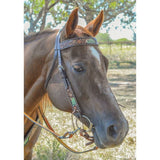 Circle Y CACTUS COUNTRY BROWBAND HEADSTALL #1010-10-SC