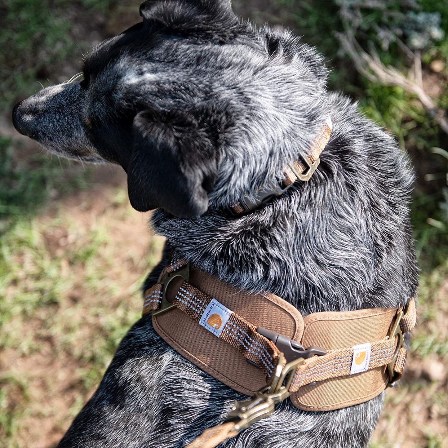 Carhartt Dog Training Harness #P00003412010