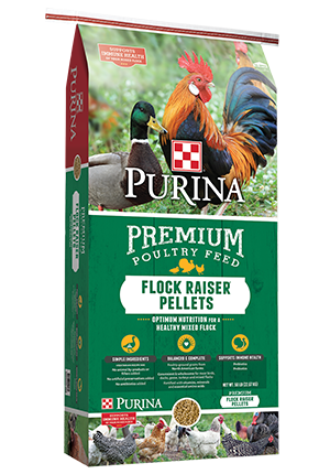 Purina Flock Raiser Pellets 50lb. #3003340-206