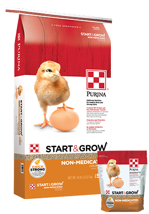 Purina Chick Starter Non-Medicated Crumbles 50b. #3004800-306