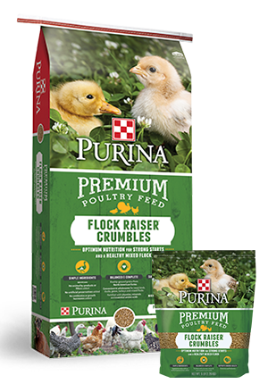 Purina Flock Raiser Crumbles 50lb. #3003340-306