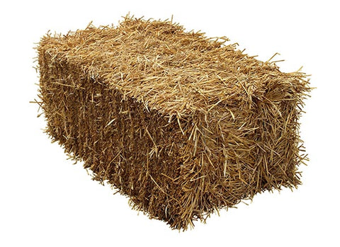 Wheat Straw Bale