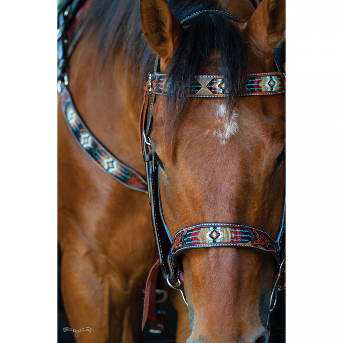 Circle Y SOUTHWESTERN BEADED BROWBAND HEADSTALL #X0216-T001