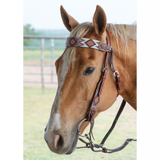 Circle Y FLAT INFINITY BEADED BROWBAND HEADSTALL #X0221-2004